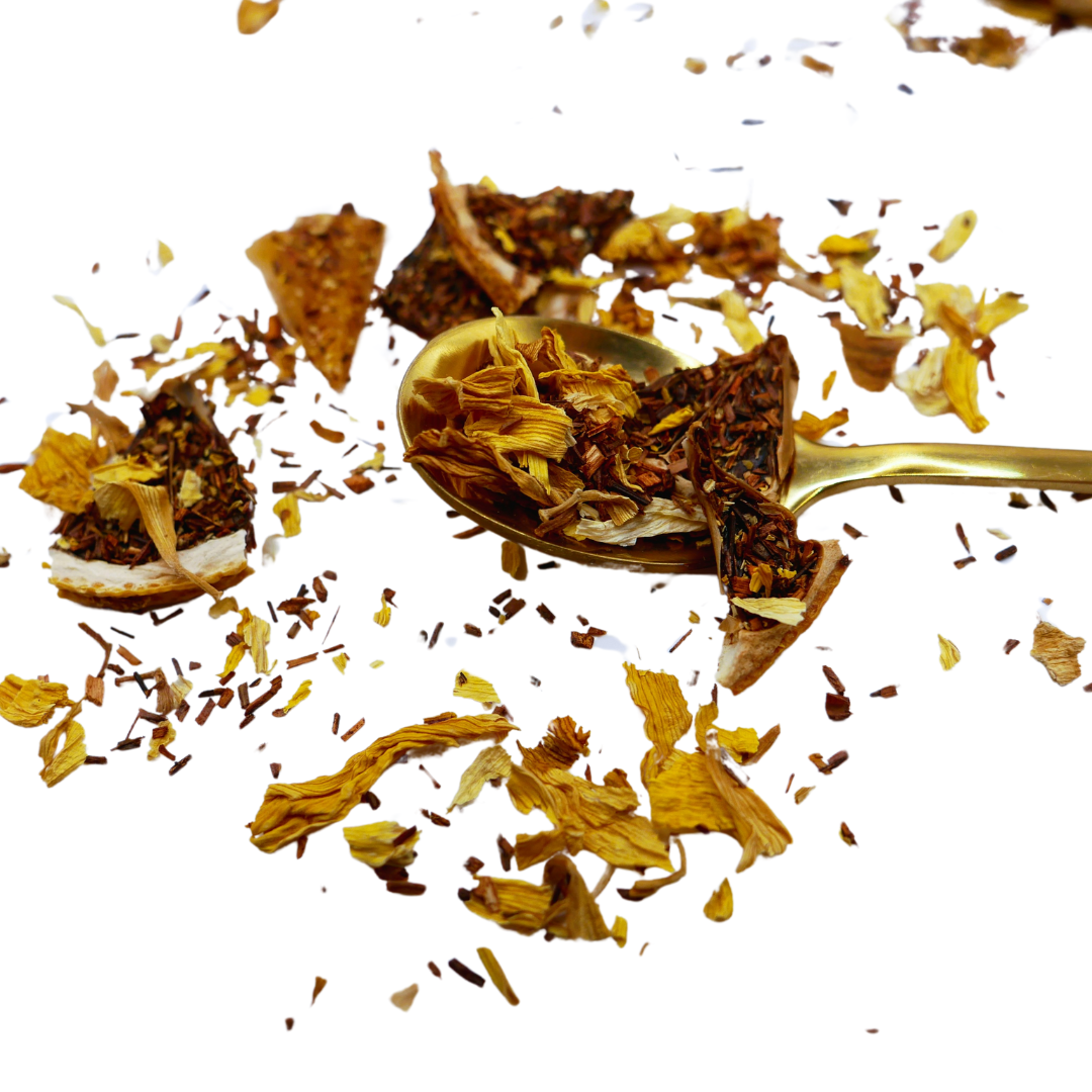 Geaarde Spiritualiteit